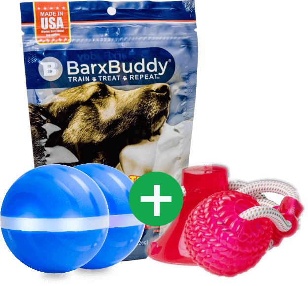 Barx busyball review