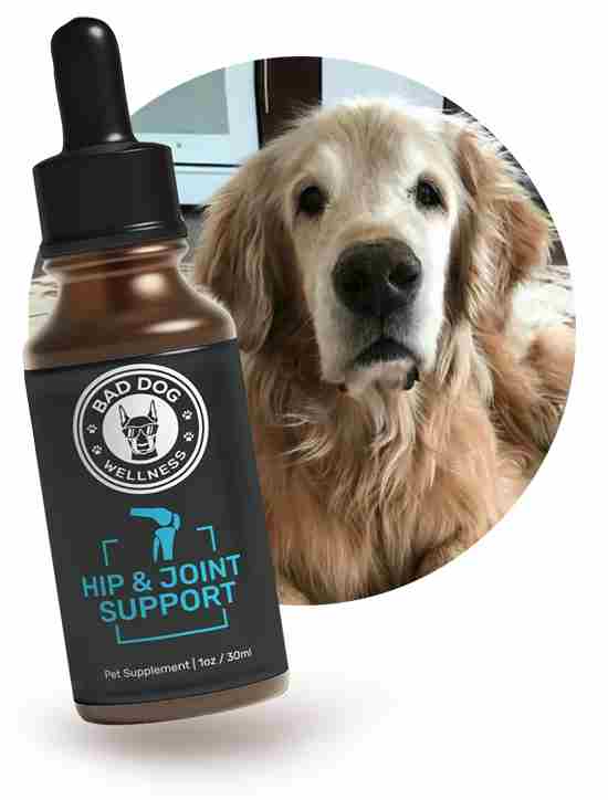 bad dog joint relief tincture reviews